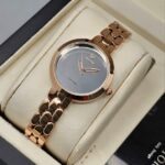 ساعت صفحه آینه ای زنانه ویتوریا (Vittoria) مدل VT3100