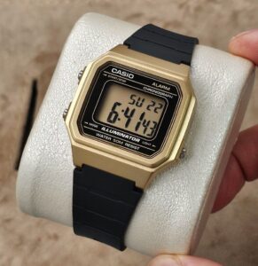 ساعت مردانه کاسیو CASIO W-217HM-9A