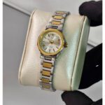 ساعت زنانه VT3414 SG/W